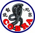 /album/ke-ztazeni/cobra-ryu-6-jpg1/